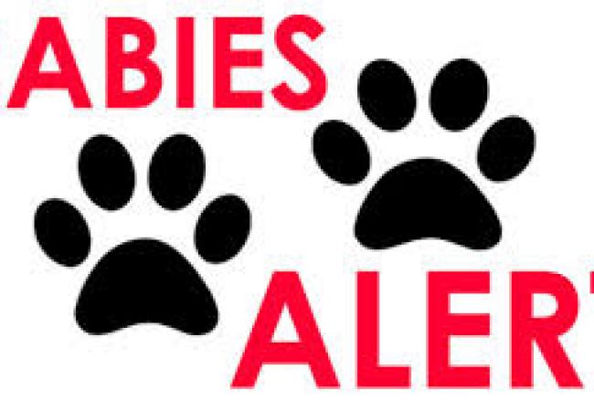 Rabies Alert Issue